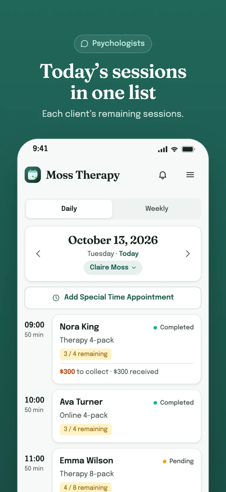 Daily list: the day's appointments hour by hour; payment status for services, remaining sessions for packages and for each group member.