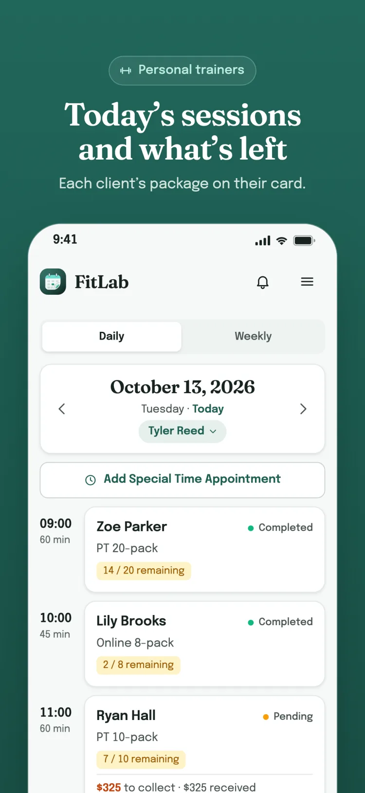 Daily list: the day's appointments hour by hour; payment status for services, remaining sessions for packages and for each group member.