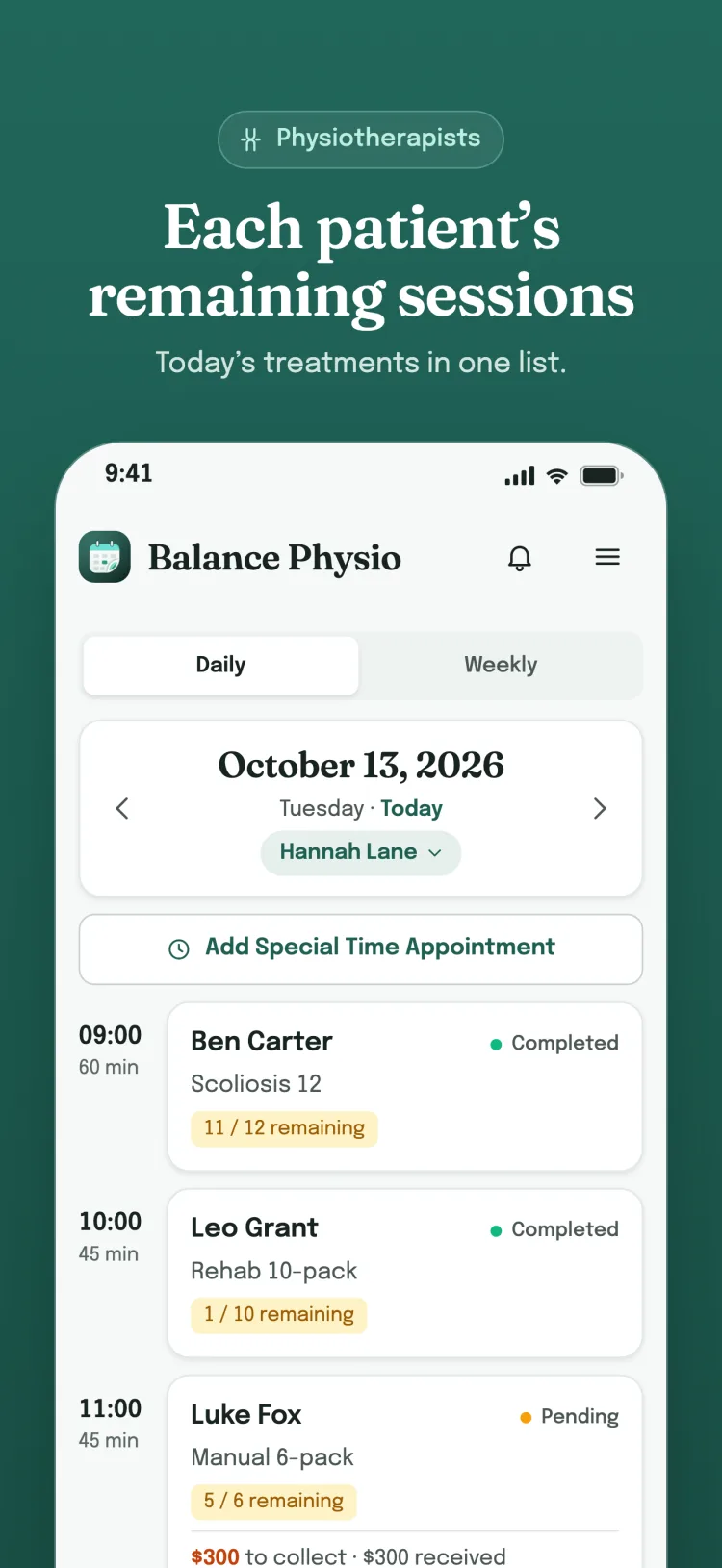 Daily list: the day's appointments hour by hour; payment status for services, remaining sessions for packages and for each group member.